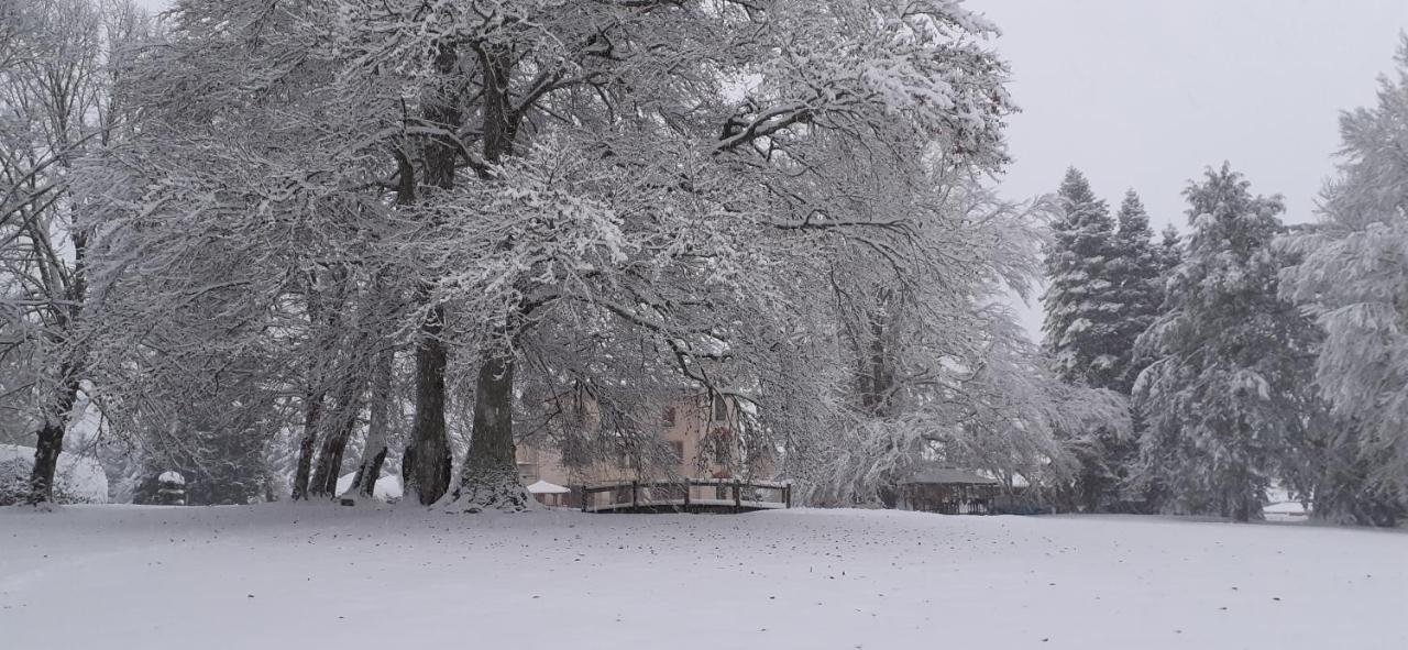 Domaine De Marchal - Chambres Et Table D'Hotes Celles-Sur-Durolle Exteriör bild