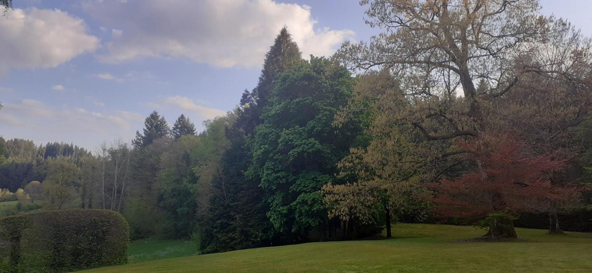 Domaine De Marchal - Chambres Et Table D'Hotes Celles-Sur-Durolle Exteriör bild